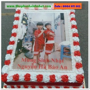 Bánh Sinh Nhật In Hình Ảnh - H708